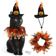 Black cat wearing a Halloween witch hat and orange collar with jack-o'-lanterns, costume for cats and small dogs